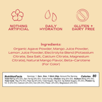 Hibiscus Electrolyte Agua Fresca 20-Pack