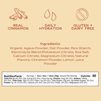 Horchata Electrolyte Agua Fresca 20-Pack