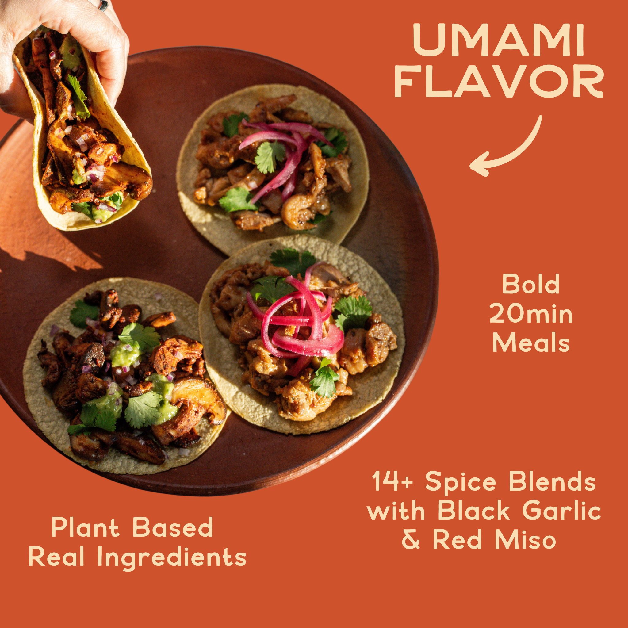 Taco Seasoning Variety Bundle